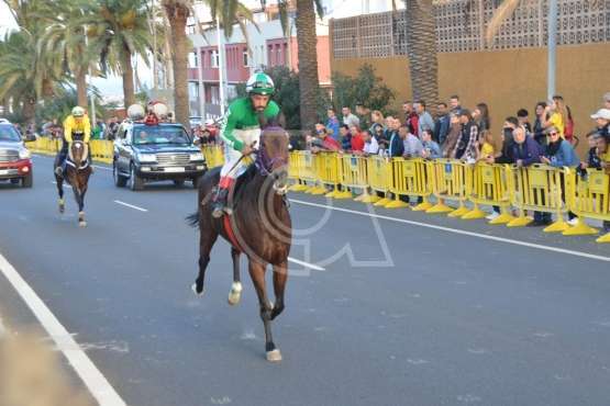 Carreras de caballo de San Gregorio Taumaturgo 2018